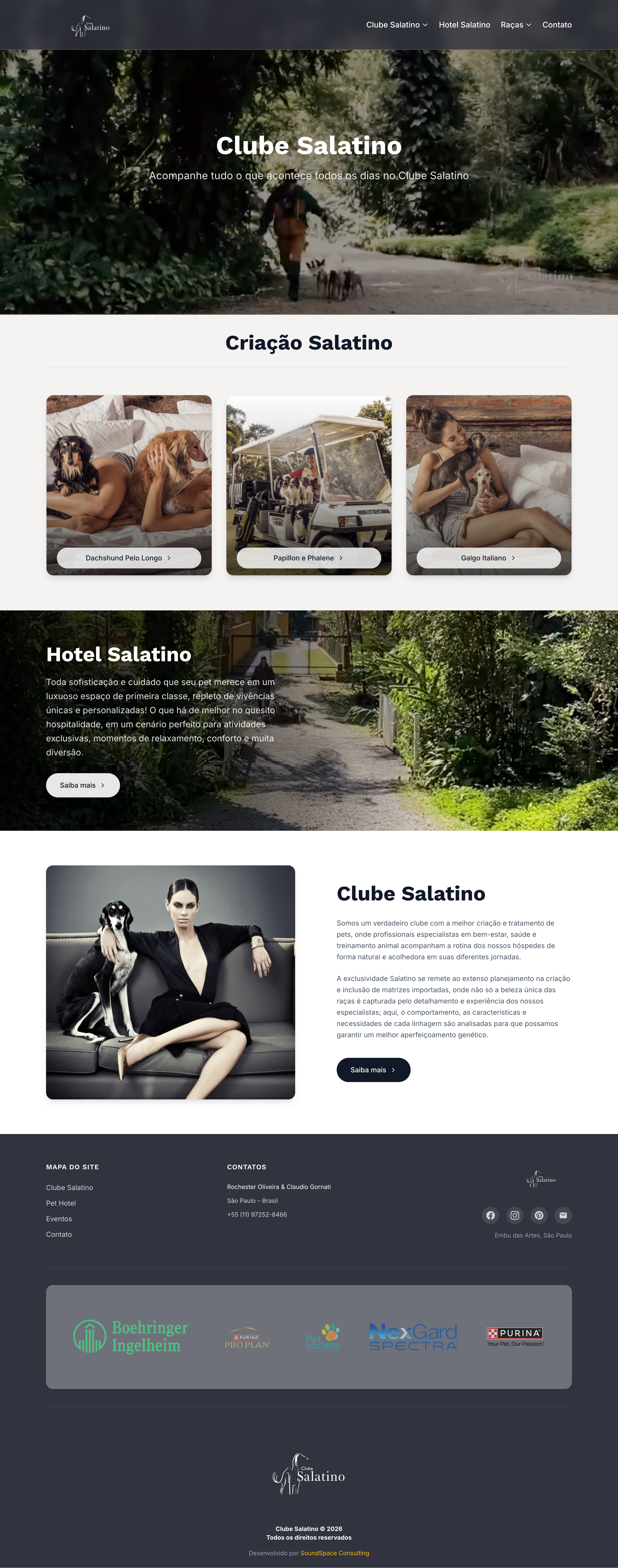 Clube Salatino website built by SoundSpace Consulting - modern, fast-loading website for dance club community